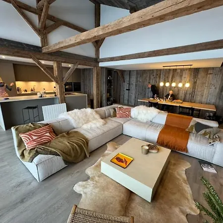 Monkey Barn Morzine Les Gets * La Cote d'Arbroz