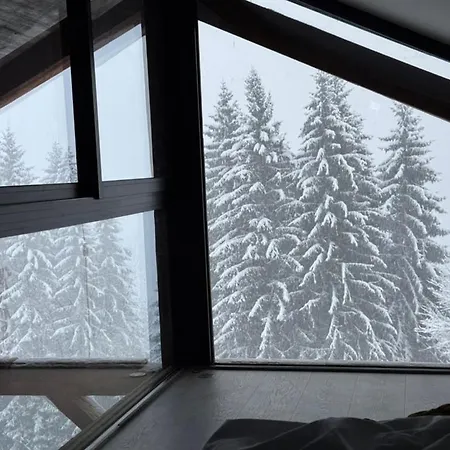 Feriehus Monkey Barn Morzine Les Gets *
