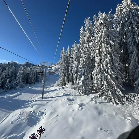 Monkey Barn Morzine Les Gets Feriehus *