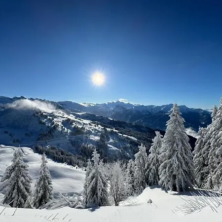 Monkey Barn Morzine Les Gets Feriehus