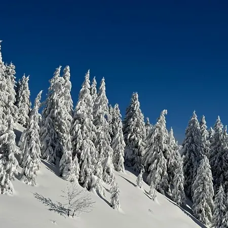 Monkey Barn Morzine Les Gets Feriehus La Cote d'Arbroz