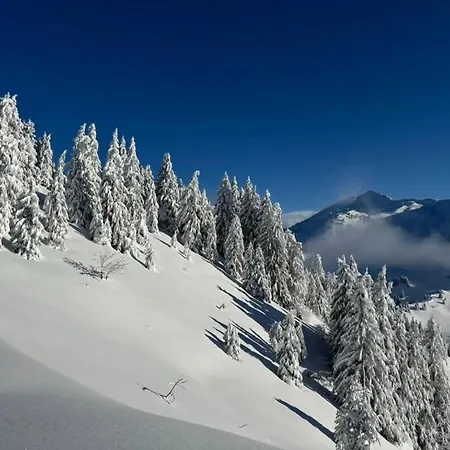 Feriehus Monkey Barn Morzine Les Gets La Cote d'Arbroz